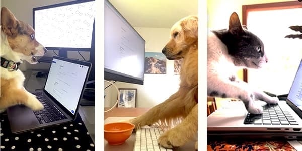 Bitly friends creating Bitly Links